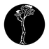 ME-3523 Tree Maple