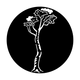 ME-3523 Tree Maple