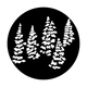 ME-3528 Trees Pine Group