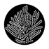 ME-4112 Egypt Frankincense