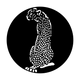 ME-4113 Africa - Cheetah