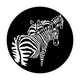 ME-4116 Africa - Zebras