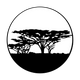 ME-4117 Trees Africa