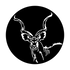 ME-4138 Africa - Kudu