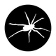 ME-4144 Spider 2