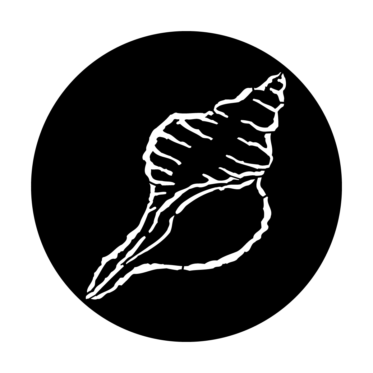 ME-7001 Sea Shell
