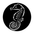 ME-7006 Sea Horse