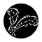 ME-7023A Constellations Pisces the Fish