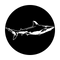 ME-7056 Sea Shark