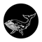 ME-7057 Sea Whale