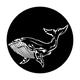 ME-7057 Sea Whale