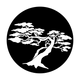 ME-9035 Bonsai Grow