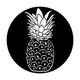 ME-9147 Excellent Fruit