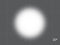 Rosco OPTI-SCULPT 20° Filter Sheets