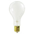 PLT 500W - Frost - Incandescent PS35 Bulb