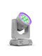 Rogue Outcast 1 BeamWash M