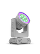 Rogue Outcast 1 BeamWash M