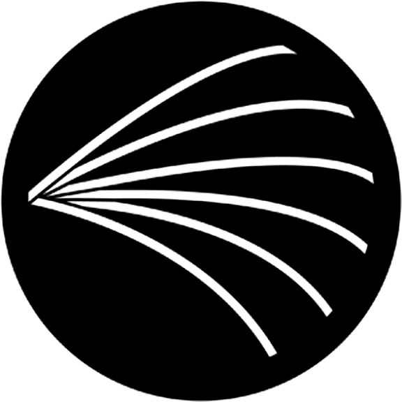 Rosco Lines 2 Gobo # 71038