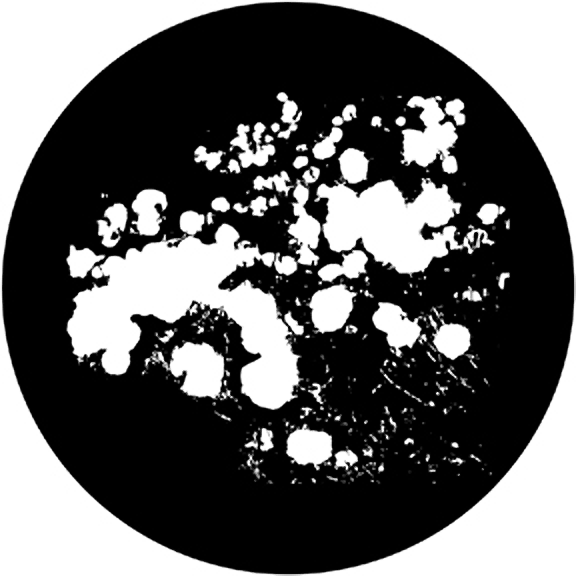Rosco Poppy Field Gobo # 71044