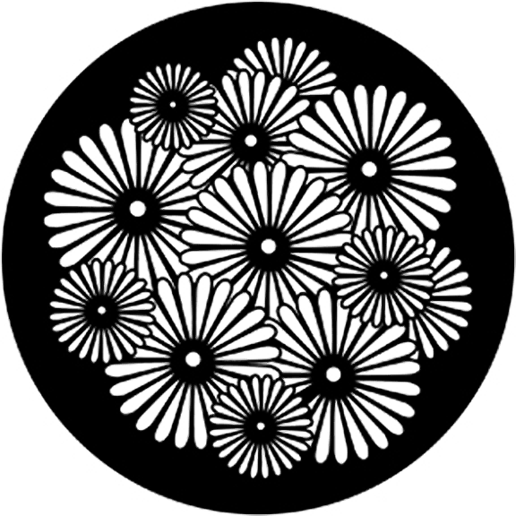 Rosco Sunburst Flowers Gobo # 71055