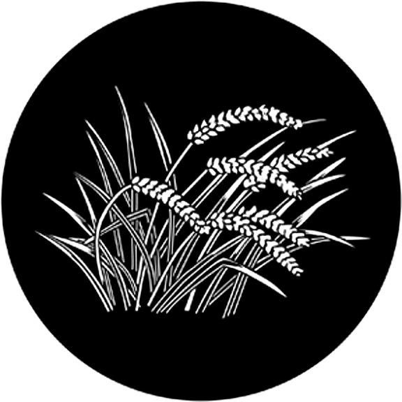 Rosco Wheat Gobo # 71059