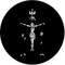 Rosco Stained Glass White Gobo # 73615