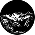 Rosco Mountain 2 Gobo # 76504