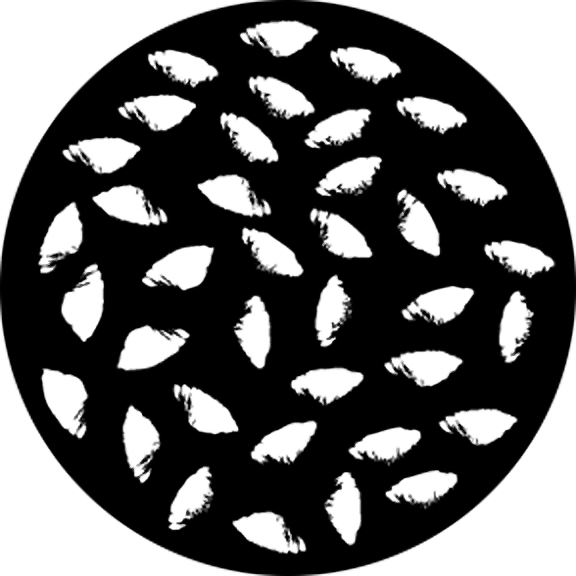 Rosco Printed Shells Gobo # 76511