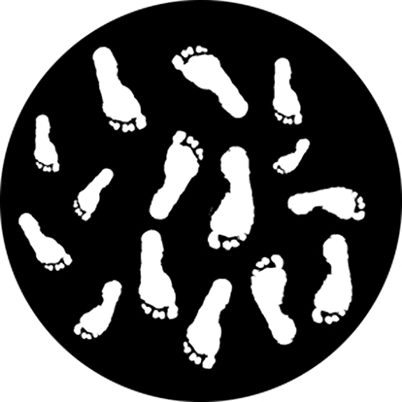 Rosco Footprints Gobo # 76515