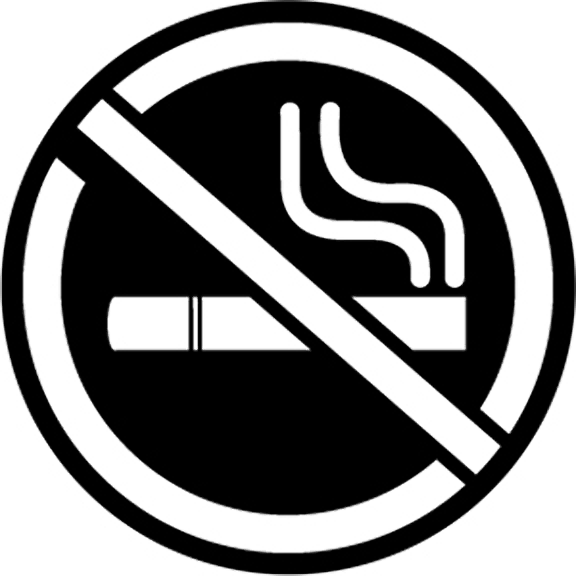 Rosco No Smoking 2 Gobo # 76521