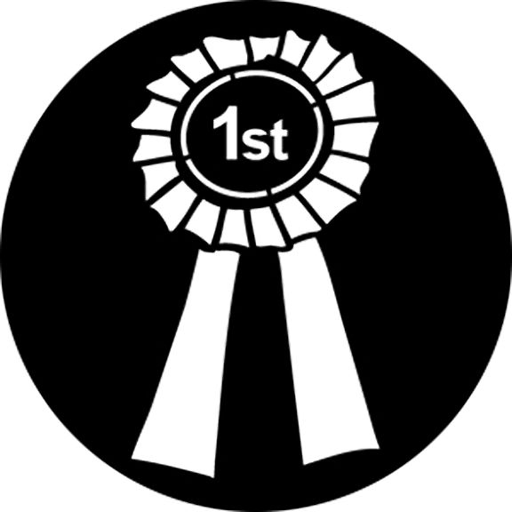 Rosco Rosette 1st Gobo # 76551