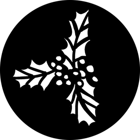 Rosco Holly 2 Gobo # 76576