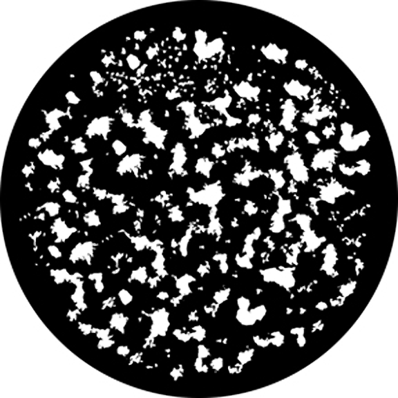 Rosco Sponge Texture Gobo # 76596