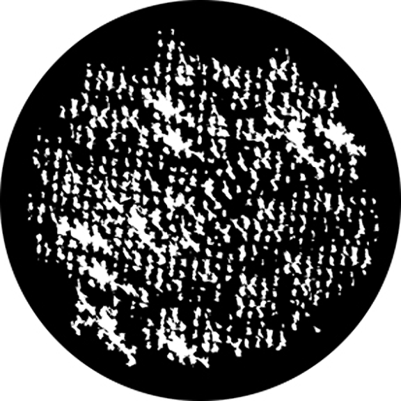 Rosco Loom Gobo # 76604