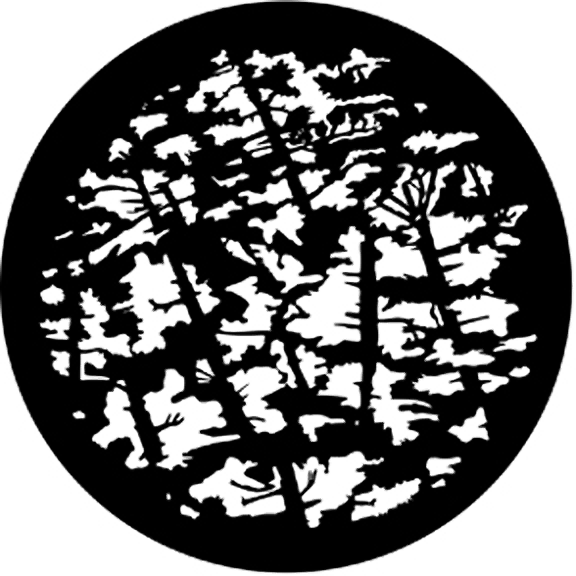 Rosco Pine Branches Gobo # 77107