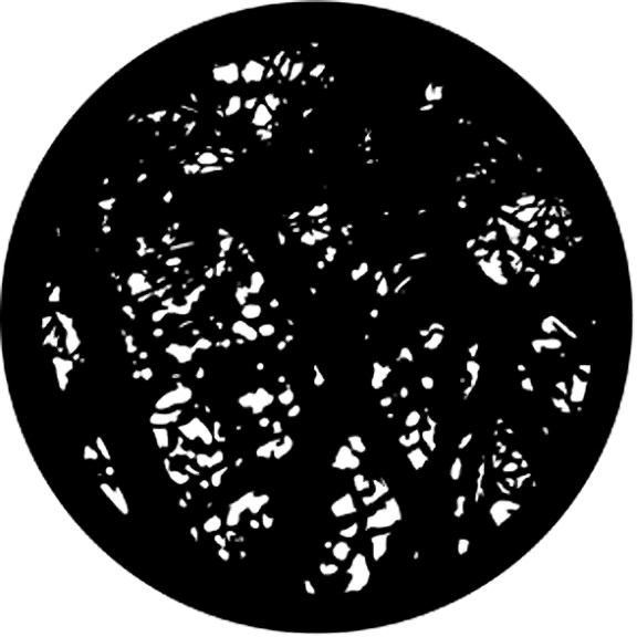 Rosco Dense Branches Gobo # 77115