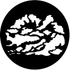 Rosco Cloud 5 Gobo # 77163