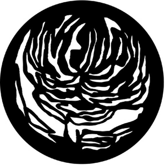 Rosco Floral 2 Gobo # 77240