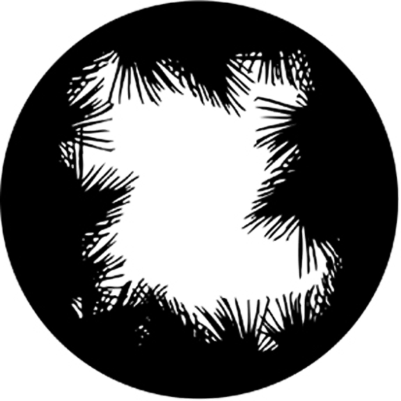 Rosco Open Palm Gobo # 77281