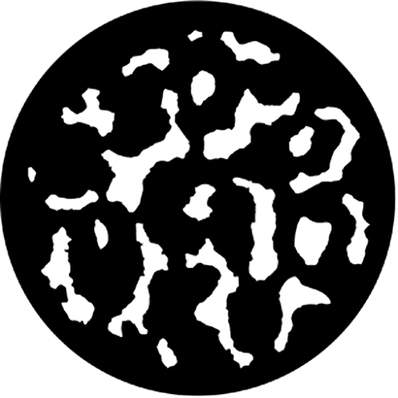 Rosco Ocelot (Large) Gobo # 77410