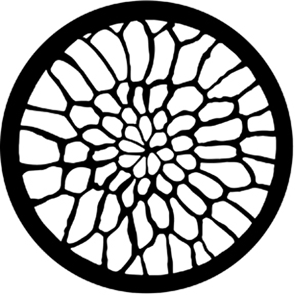 Rosco Soft Web Gobo # 77500