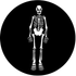 Rosco Skeleton Gobo # 77557