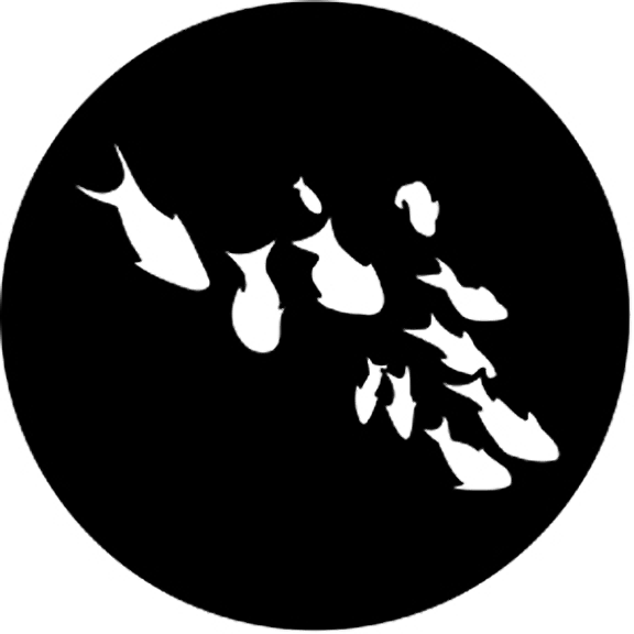 Rosco Fishes Gobo # 77559