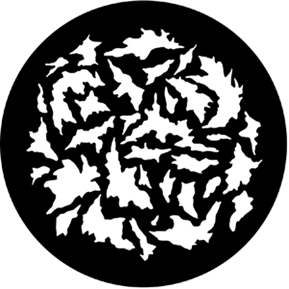 Rosco Autumn Breakup Gobo # 77572