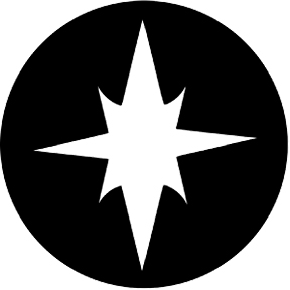 Rosco Ping Gobo # 77573