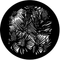 Rosco Fir Cones Gobo # 77592