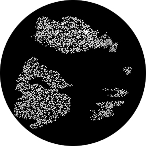 Rosco Cumulo Nimbus 2 Gobo # 77604