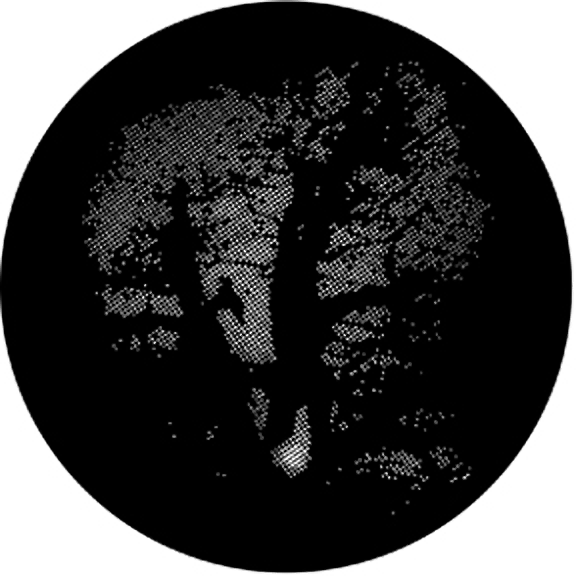 Rosco Meshed Oak Gobo # 77611