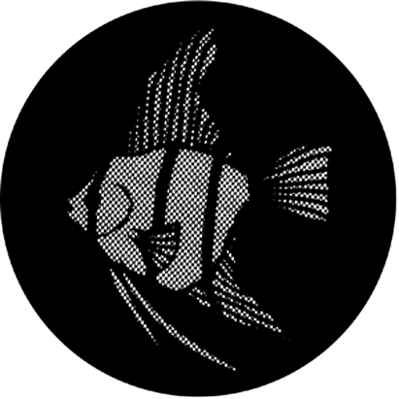 Rosco Meshed Angel Fish Gobo # 77612
