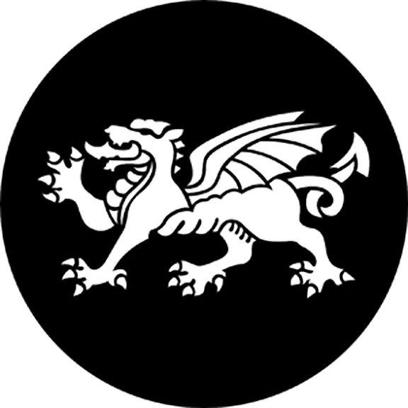 Rosco Dragon Gobo # 77671